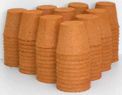 Godets de tourbe Jiffy : Diam�tre 8 cm - 100 Pi�ces