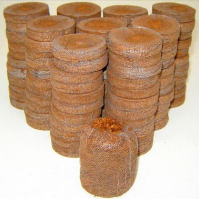 Pastilles de tourbe Jiffy : 100 pastilles