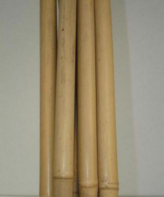 Tuteur Bambou / 10 pi�ces : Taille 152 cm - Diam�tre 14/16 mm