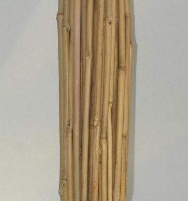 Tuteur Bambou / 50 pi�ces : Taille 75 cm - Diam�tre 6/8 mm