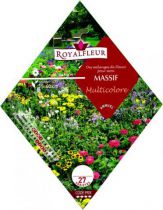 Mélange de Fleurs MASSIF Multicolore :  1.8 m²