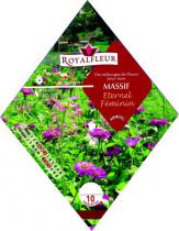 Mélange de Fleurs MASSIF Eternel Féminin : 1.8 m²