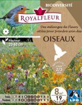 Mélanges de vivaces pour attirer les oiseaux : pour 8 m²