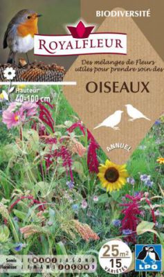 M�langes d'annuelles pour attirer les oiseaux : 25 m�
