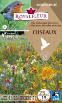 Mélanges de vivaces pour attirer les oiseaux : pour 25 m²