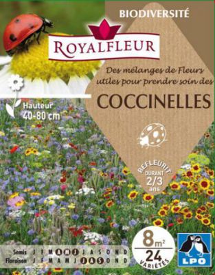 M�langes de Fleurs pour COCCINELLES : pour 8 m�