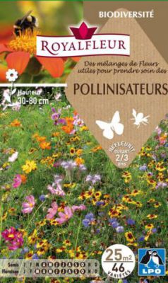 M�langes de Fleurs pour ENRICHIR LE SOL Engrais Vert Fleuri : pour 25 m�