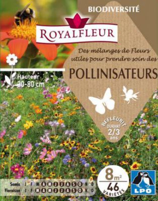 M�langes de Fleurs pour POLLINISATEURS : pour 8 m�
