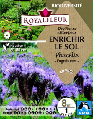 Des Fleurs utiles pour ENRICHIR LE SOL Phac�lie : pour 8 m�