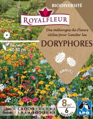 M�langes de Fleurs pour limiter kes DORYPHORES : pour 8 m�