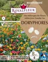 Mélanges de Fleurs pour limiter kes DORYPHORES : pour 8 m²