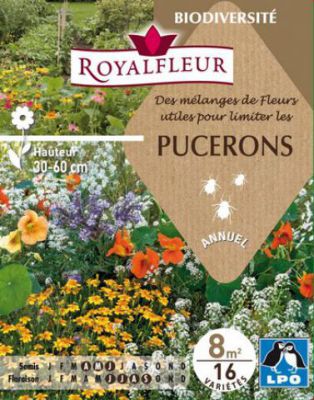 M�langes de Fleurs utiles pour limiter les PUCERONS : pour 8 m�