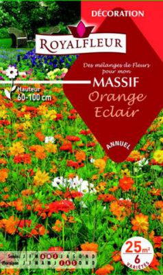 M�langes MASSIF Orange Eclair : pour 25 m�