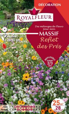M�langes MASSIF Reflet des Pr�s : pour 25 m�