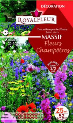 M�langes MASSIF Fleurs Champ�tres : pour 25 m�