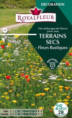 M�langes TERRAINS SECS -Fleurs Rustiques- : pour 25 m�