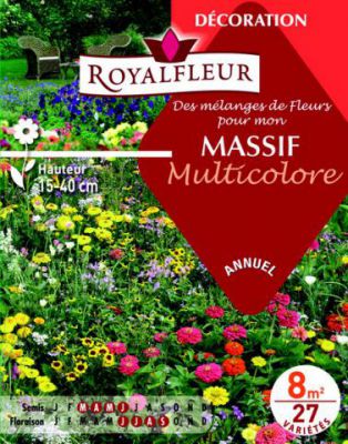 M�langes de Fleurs MASSIF Multicolore : pour 8 m�