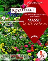 Mélanges de Fleurs MASSIF Multicolore : pour 8 m²