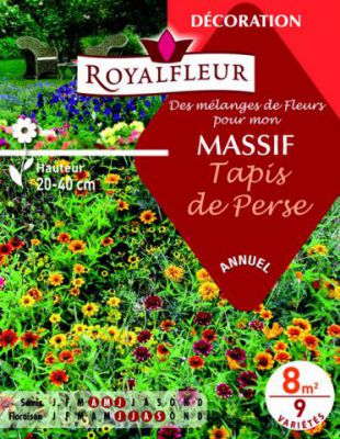 M�langes MASSIF Tapis de Perse : pour 8 m�