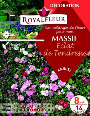 M�langes MASSIF Eclat de Tendresse : pour 8 m�