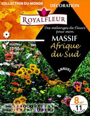 M�langes MASSIF Afrique du Sud : pour 8 m�