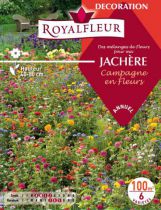 Mélanges de Fleurs Spécial JACHÈRE Campagne en Fleurs : 100 m²