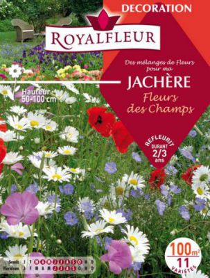 M�langes de Fleurs Sp�cial JACH�RE Fleurs des Champs : 100 m�
