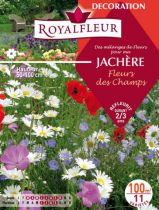 Mélanges de Fleurs Spécial JACHÈRE Fleurs des Champs : 100 m²