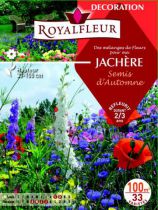 Mélanges de Fleurs Spécial JACHÈRE Semis d'automne : 100 m²