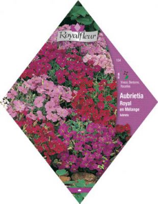 AUBRIETE Royal M�lange