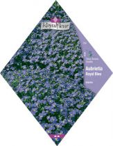 AUBRIETE Royal Bleu