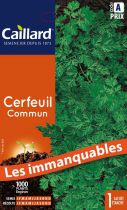 Graines de Cerfeuil commun