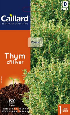 THYM - D'HIVER