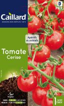 TOMATE - CERISE