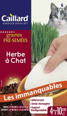 Herbe � Chat Caillard : tapis de graines pr�-sem�es
