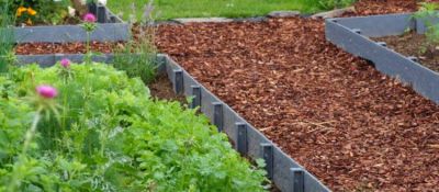 Bordure Ecolat Droite� * : Latte de 2 m�tres de longueur - Hauteur 19 cm