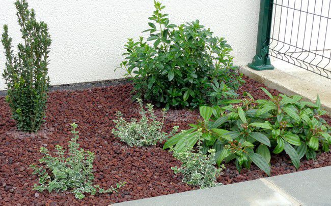 Pouzzolane : paillage, drainage, toutes ses utilisations au jardin