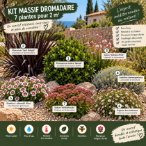 Massifs pr�ts � planter : Kits v�g�taux