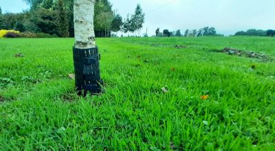 Protection pour troncs d\'arbres V�g�protech� : 1 pi�ce  